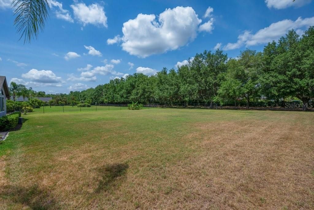 Image 51 of property listing at 5507 KEELER OAK STREET, Lithia, FL 33547