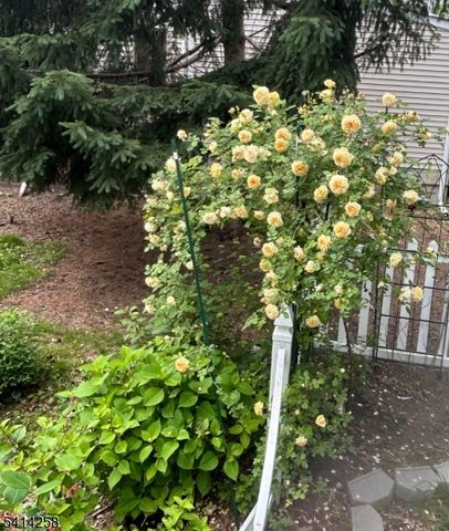 237 Tabor Rd, Morris Plains Boro, NJ 07950