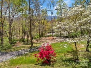 Tract C & D Carolina Heights, Black Mountain, NC 28711