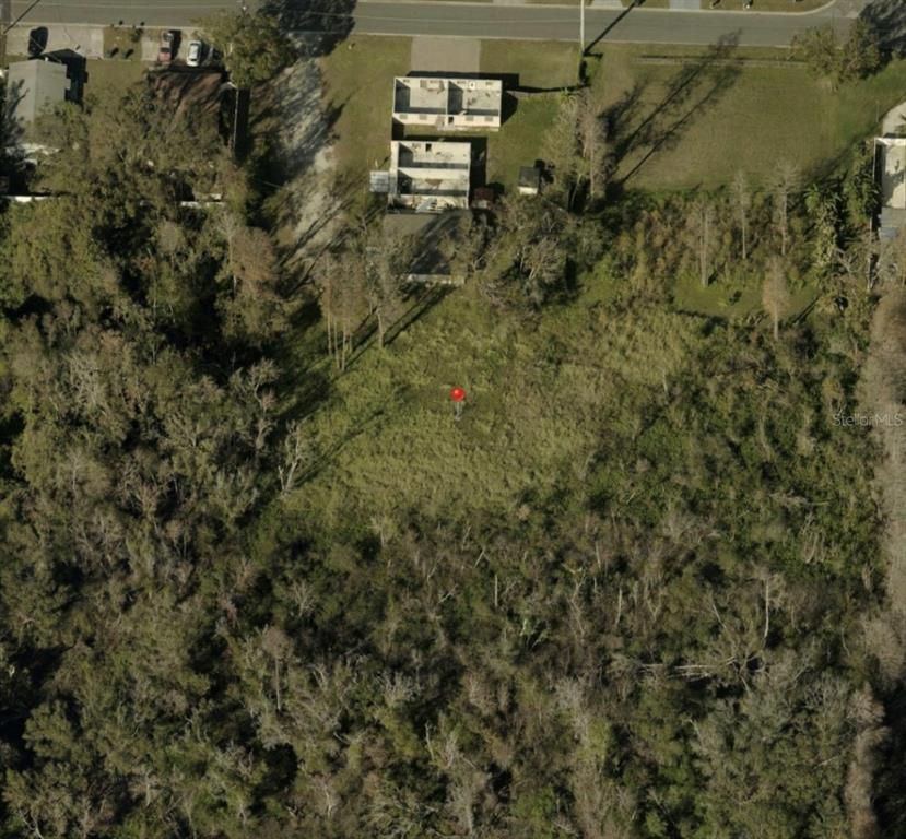 BLOSSOM AVENUE, Tampa, FL 33614