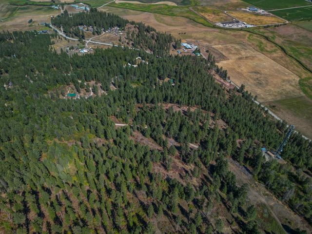 27XX Pine Rose Lot 3 Way, Chewelah, WA 99109