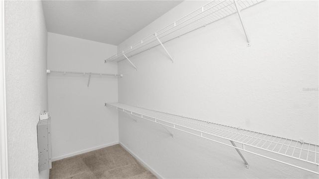 7910 BALLY MONEY ROAD, Tampa, FL 33610