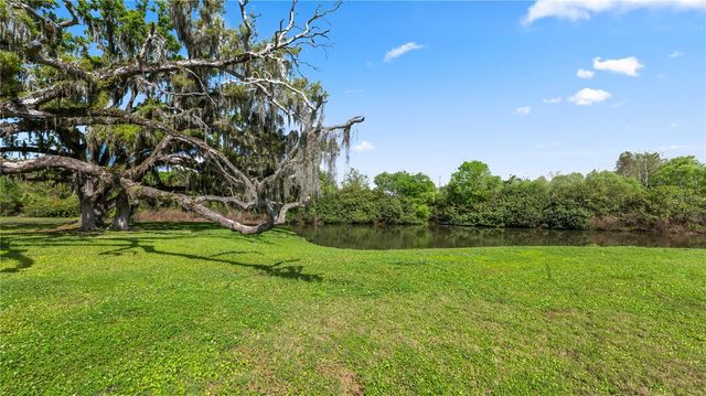 7910 BALLY MONEY ROAD, Tampa, FL 33610