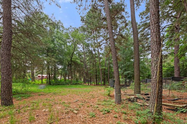 216 SQUIRREL RUN, Paige, TX 78659