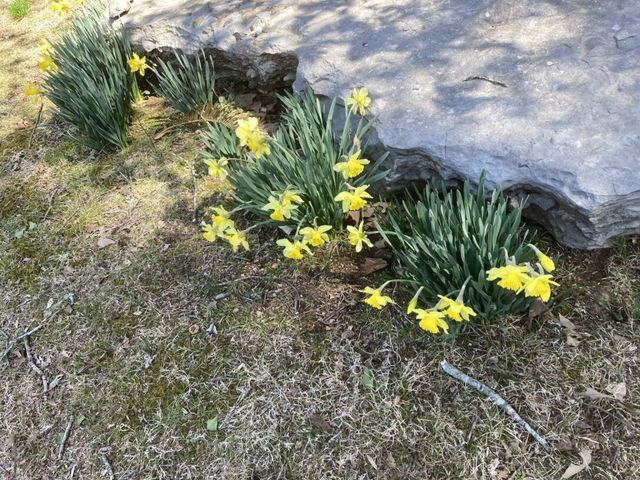 905 S Jefferson St, Winchester, TN 37398