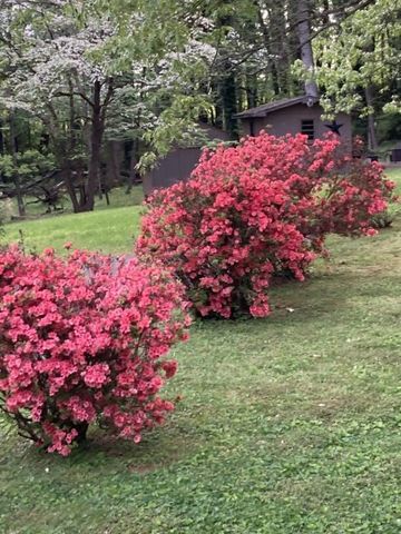 905 S Jefferson St, Winchester, TN 37398