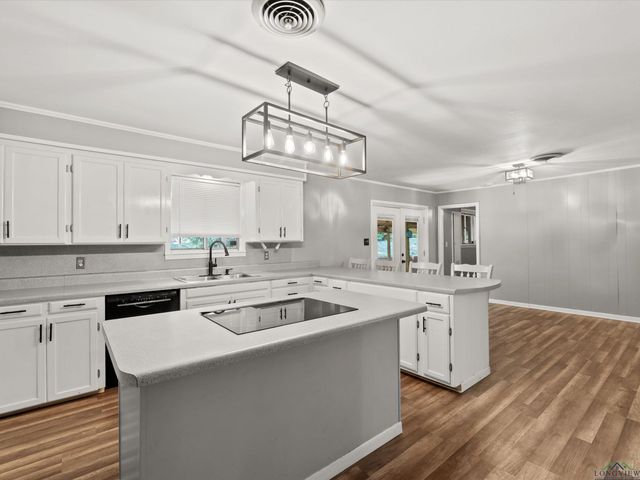 1100 WALKER DR, Daingerfield, TX 75638