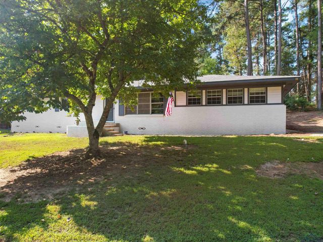 1100 WALKER DR, Daingerfield, TX 75638