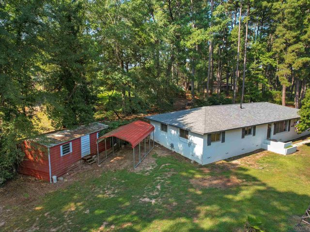 1100 WALKER DR, Daingerfield, TX 75638