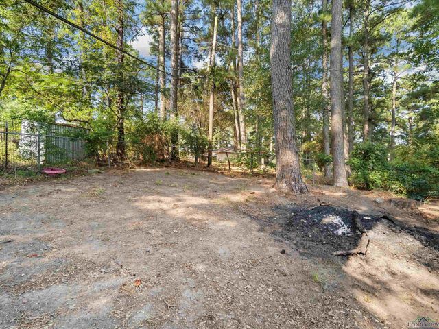 1100 WALKER DR, Daingerfield, TX 75638