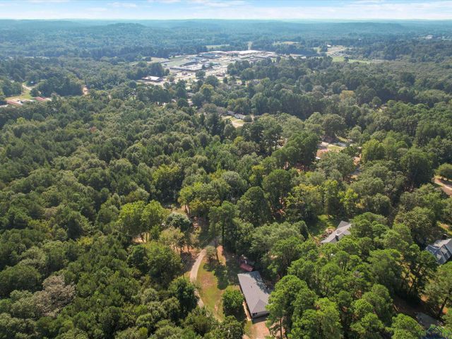 1100 WALKER DR, Daingerfield, TX 75638