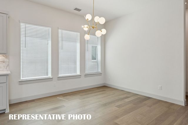 1117 Saltbrush Mews, Celina, TX 75009