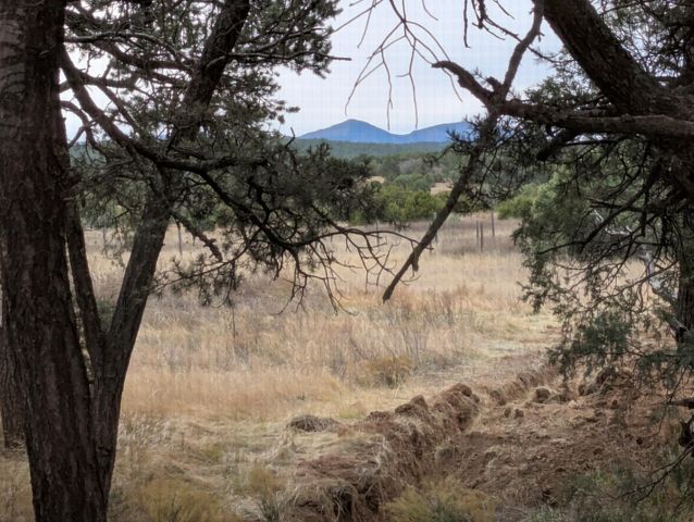 15 Falling Star Drive, Tijeras, NM 87059