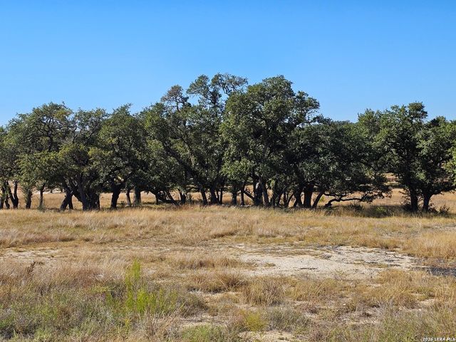 34663 Shelly Bridge Point, Bulverde, TX 78163