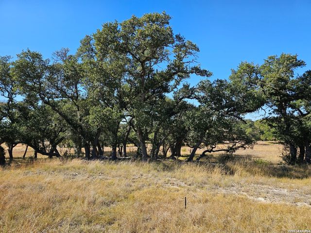 34663 Shelly Bridge Point, Bulverde, TX 78163