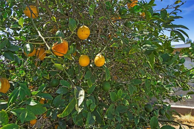 1223 S Dale Avenue, Anaheim, CA 92804