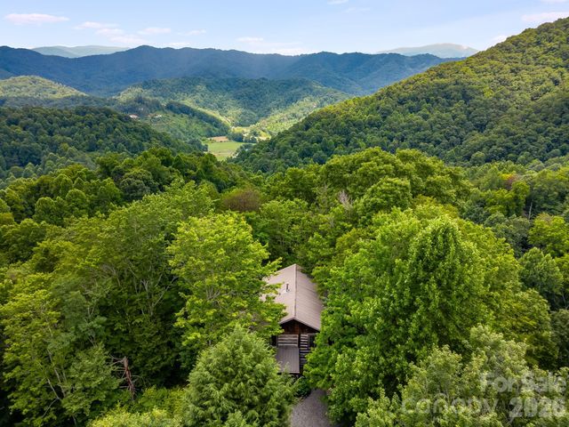 1390 Baltimore Branch Road, Hot Springs, NC 28743