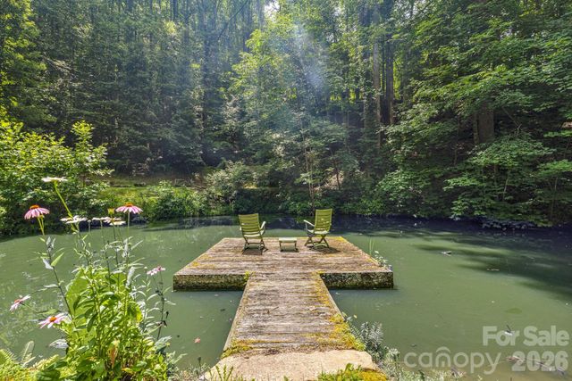1390 Baltimore Branch Road, Hot Springs, NC 28743