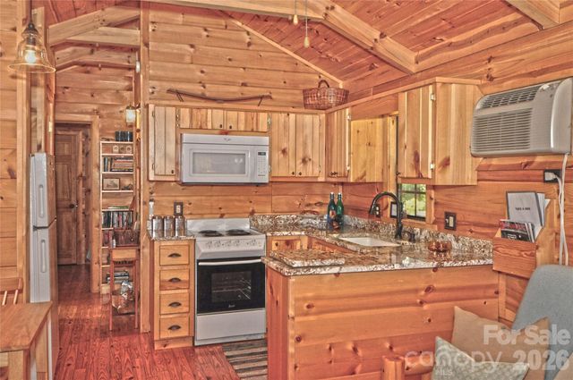 1390 Baltimore Branch Road, Hot Springs, NC 28743