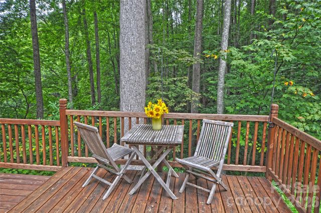 1390 Baltimore Branch Road, Hot Springs, NC 28743