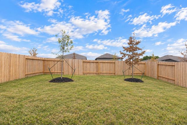 15010 Tremaine Court, Conroe, TX 77316