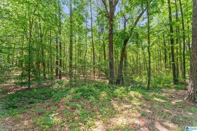 9255 WHIPPOORWILL LANE, Pinson, AL 35126