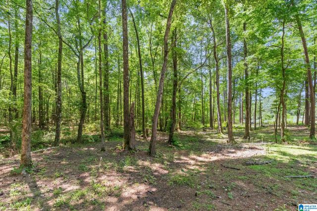 9255 WHIPPOORWILL LANE, Pinson, AL 35126
