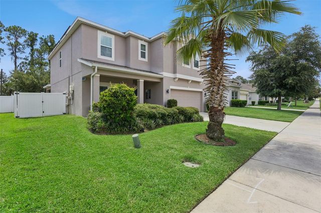 2514 PLUMADORE DRIVE, Grand Island, FL 32735