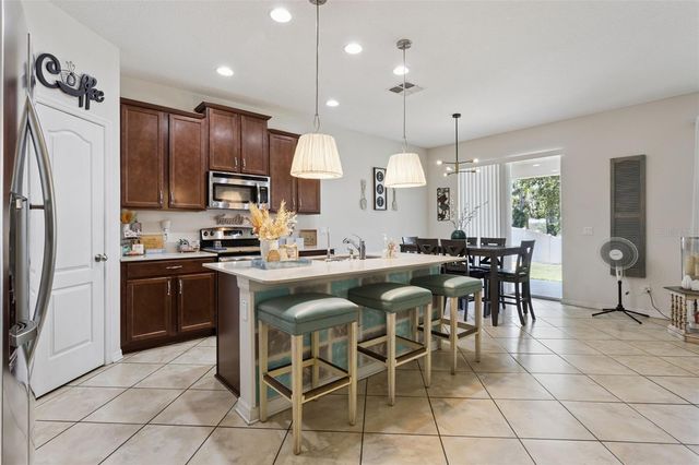 2514 PLUMADORE DRIVE, Grand Island, FL 32735