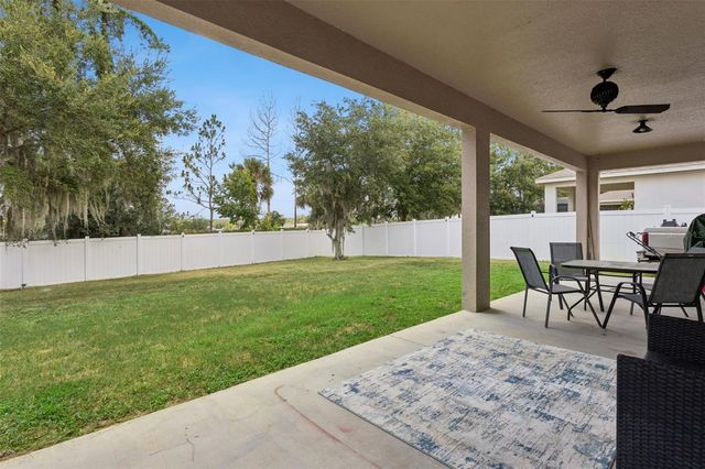 2514 PLUMADORE DRIVE, Grand Island, FL 32735