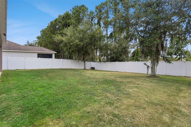 2514 PLUMADORE DRIVE, Grand Island, FL 32735