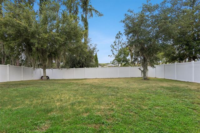 2514 PLUMADORE DRIVE, Grand Island, FL 32735