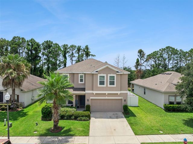 2514 PLUMADORE DRIVE, Grand Island, FL 32735