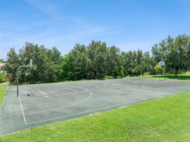2514 PLUMADORE DRIVE, Grand Island, FL 32735