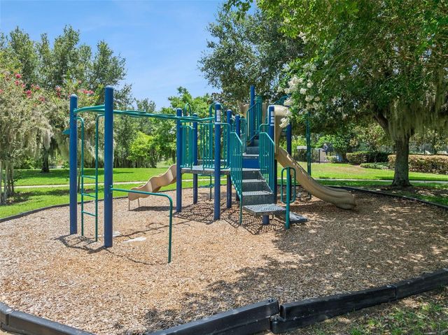 2514 PLUMADORE DRIVE, Grand Island, FL 32735