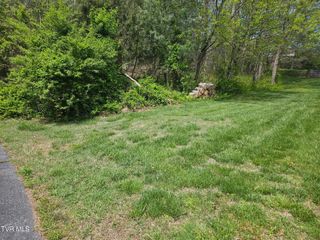 0 Arnold Palmer Dr, Greeneville, TN 37743