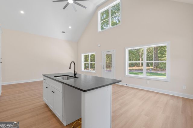 106 Little Street, Williamson, GA 30292