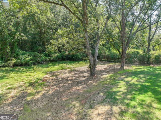 106 Little Street, Williamson, GA 30292