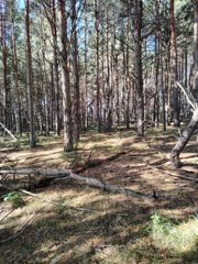 TBD County Rd 87, Badoura Twp, MN 56467