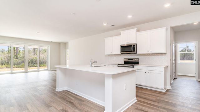 237 Livingston Woods Drive, Irmo, SC 29063