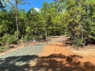 1460 Galahad Lp Road, Ivanhoe, TX 75979