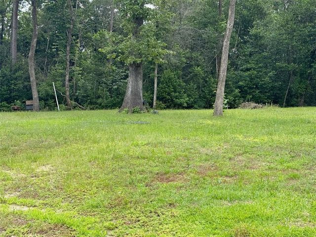 155 N Lincoln Wiggins Street, Livingston, TX 77351