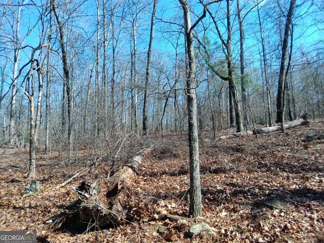 455 Rivers Road, Fayetteville, GA 30214