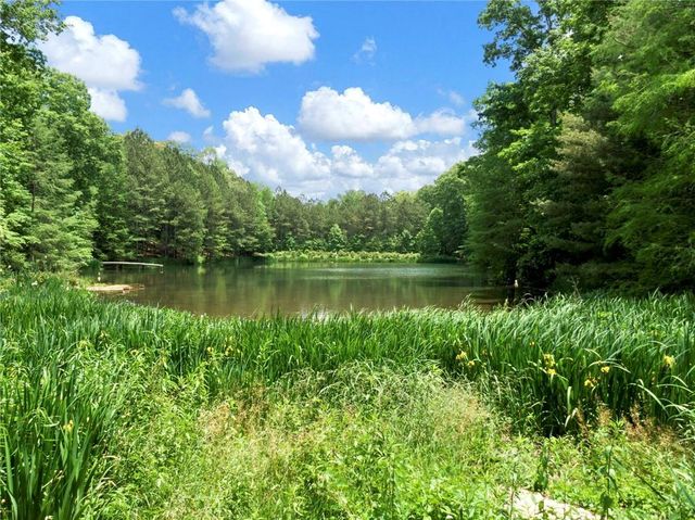 1402 Henderson Mountain Road, Jasper, GA 30143