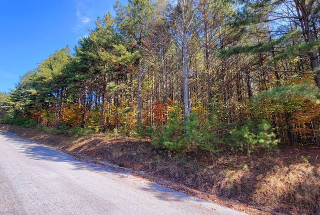 LOT 6 Black Bear Ridge Road, Ellijay, GA 30536