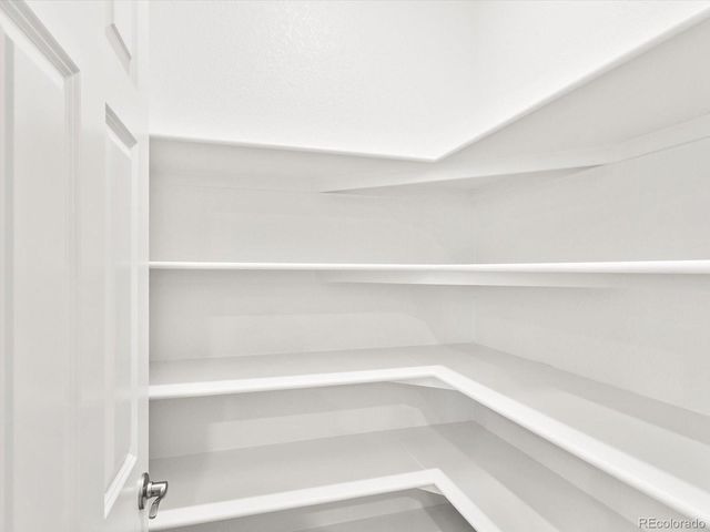 1614 Nathan River Drive, Windsor, CO 80550