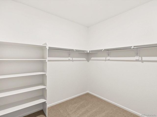 1614 Nathan River Drive, Windsor, CO 80550