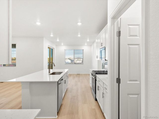 1614 Nathan River Drive, Windsor, CO 80550