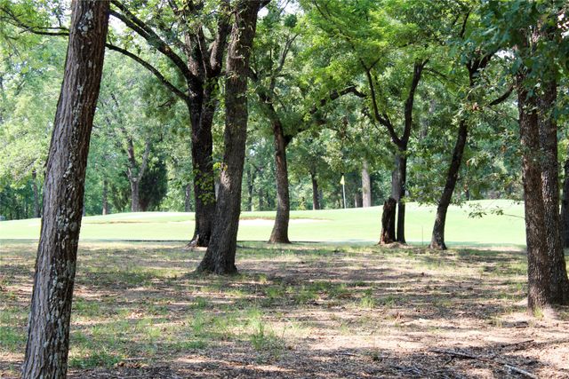 110 Bay Tree Trail, Mabank, TX 75156