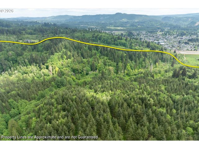 145 TALKEETNA HTS Pl, Longview, WA 98632